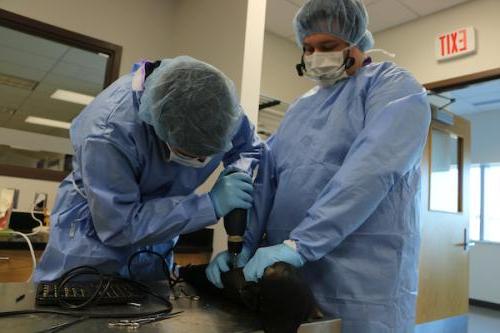 生物工程专业的学生正在研究假肢.